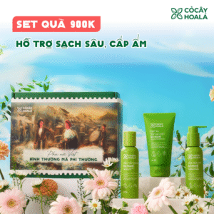 [PHIÊN BẢN GIỚI HẠN 20/10] Set 1: Combo 3 Bơ Nghệ Fullsize (Dầu tẩy trang, Sữa rửa mặt, Mặt nạ tẩy da chết) - Hộp quà “Bình Thường Mà Phi Thường”