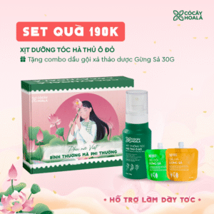 [SET 20/10] Set 1: Xịt tóc Hà Thủ Ô-Tặng cặp Gội Xả Gừng Sả 30g - Hộp quà “Bình Thường Mà Phi Thường”