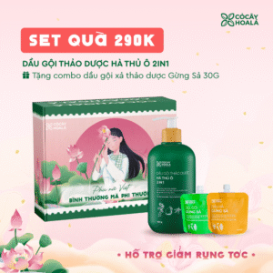 [SET 20/10] Set 3: Dầu gội thảo dược Hà Thủ Ô - Tặng sữa tắm Gừng Nghệ 30g & Gel X2 Nano Nghệ 20g-Hộp quà “Bình Thường Mà Phi Thường”
