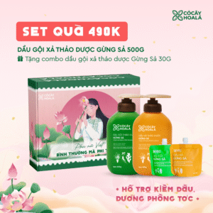 [SET 20/10] Set 1: Combo Gừng Sả-Tặng cặp Gội Xả Gừng Sả 30g-Hộp quà “Bình Thường Mà Phi Thường”
