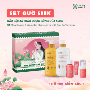 [SET 20/10] Set 1: Combo Gừng Dừa-Tặng Set mini Đậu Đỏ-Hộp quà “Bình Thường Mà Phi Thường”