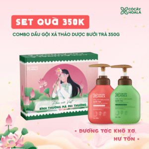 [SET 20/10] Set 1: Combo Gội xả Bưởi Trà 350g-Tặng Gội Xả Gừng Sả 30g-Hộp quà “Bình Thường Mà Phi Thường”