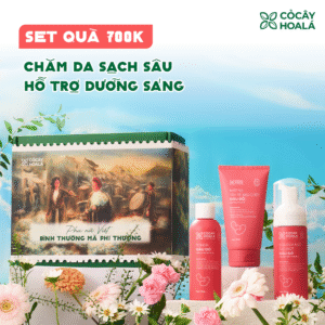 [PHIÊN BẢN GIỚI HẠN 20/10] Set 2: Combo 3 Đậu Đỏ thiên nhiên Fullsize 150g (Tẩy da chết + Sữa rửa mặt + Toner)  - Hộp quà “Bình Thường Mà Phi Thường”