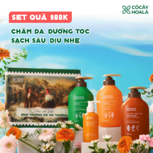 [PHIÊN BẢN GIỚI HẠN 20/10] Set 4: Combo Gội xả Gừng Sả thiên nhiên + Sữa tắm Gừng X2 Nano Nghệ kèm mini size- Hộp quà “Bình Thường Mà Phi Thường”