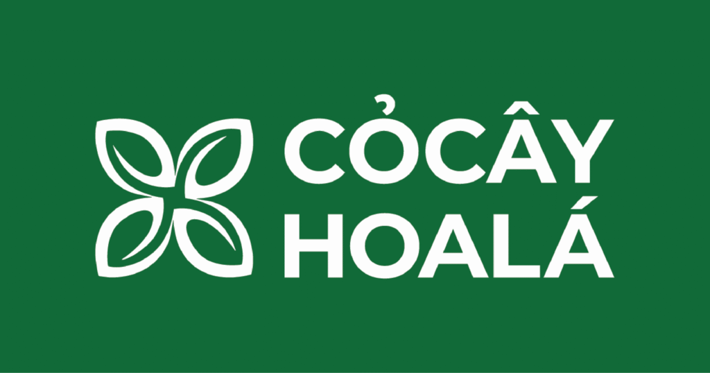 cocayhoala